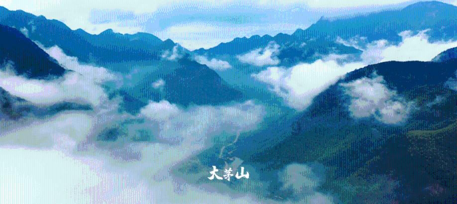 极品飞车12
