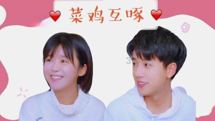 科技网:科技特派员点亮乡村振兴“科技之光”