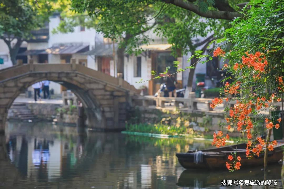 很讨厌自己的父母怎么回事？游戏画面