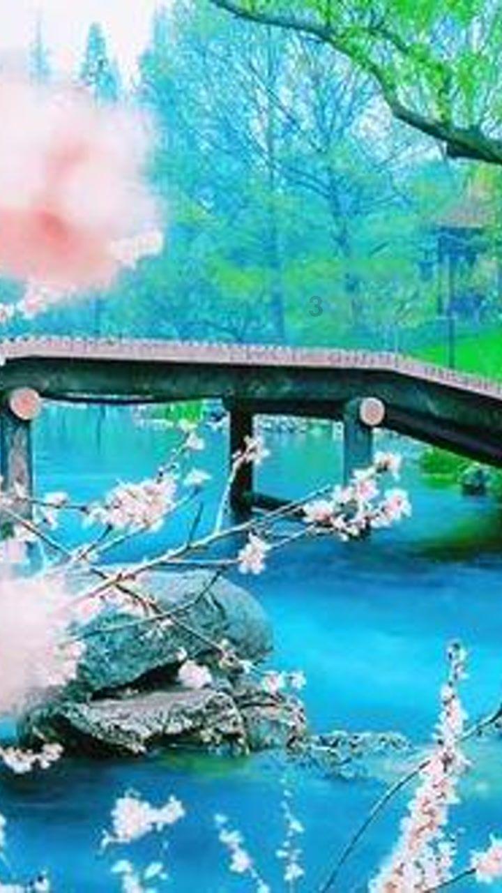 “十四冬”单板滑雪平行大回转青年组男子比赛落幕 内蒙古队彭玥熙夺冠
